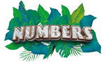 NUMBERS NUMBERS